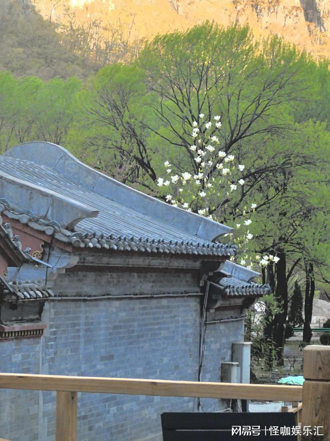 ：以文化传承与创新赋能三晋文旅新标杆开元