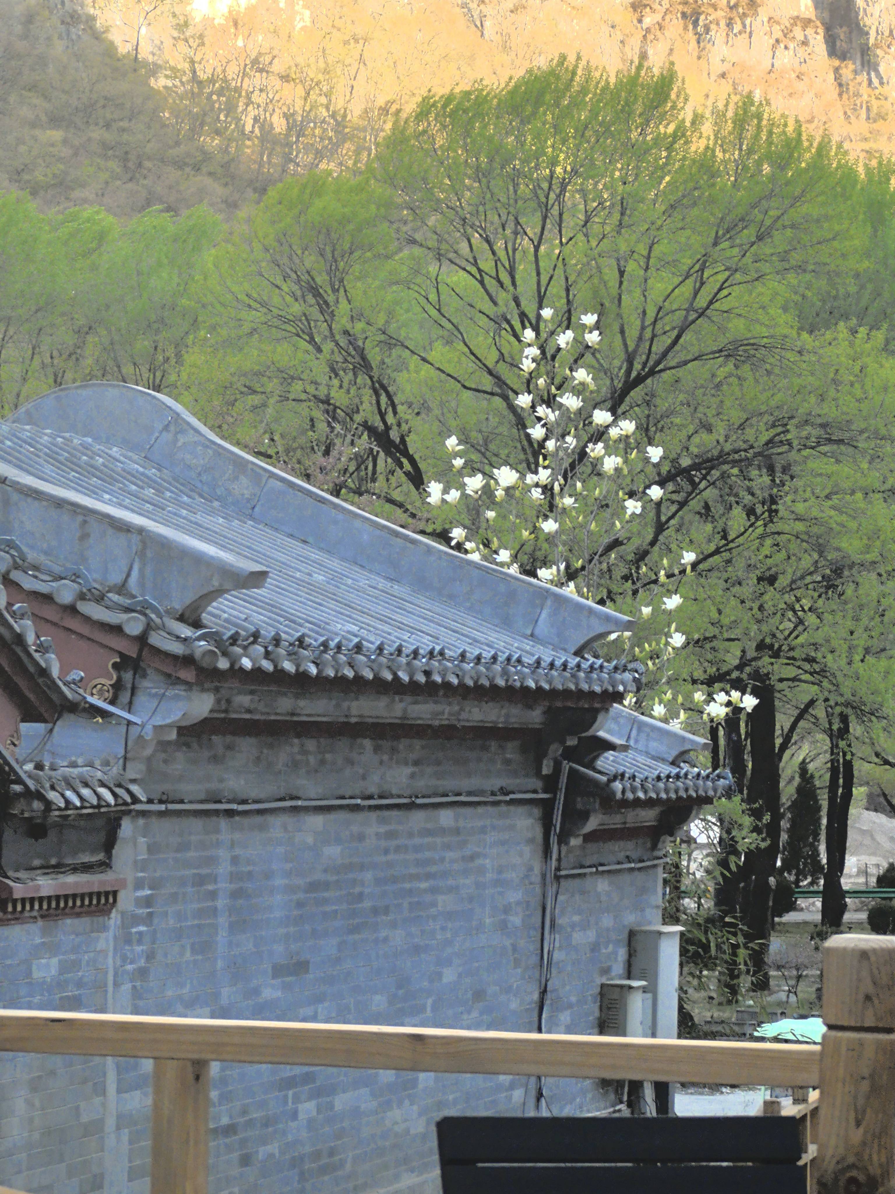 澳涞山庄荣登中国十大最美山庄之首开元棋牌app文旅圣地大放榜：(图5)