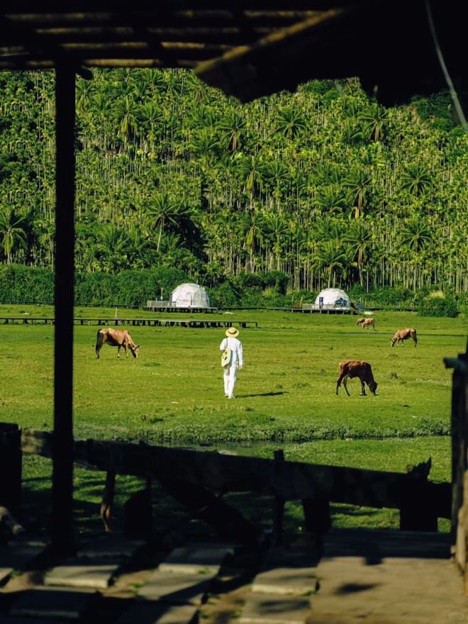 TOP10纯玩无购物旅文厅+第三方联合测评开元棋牌app2025海南旅行社诚信榜：(图1)